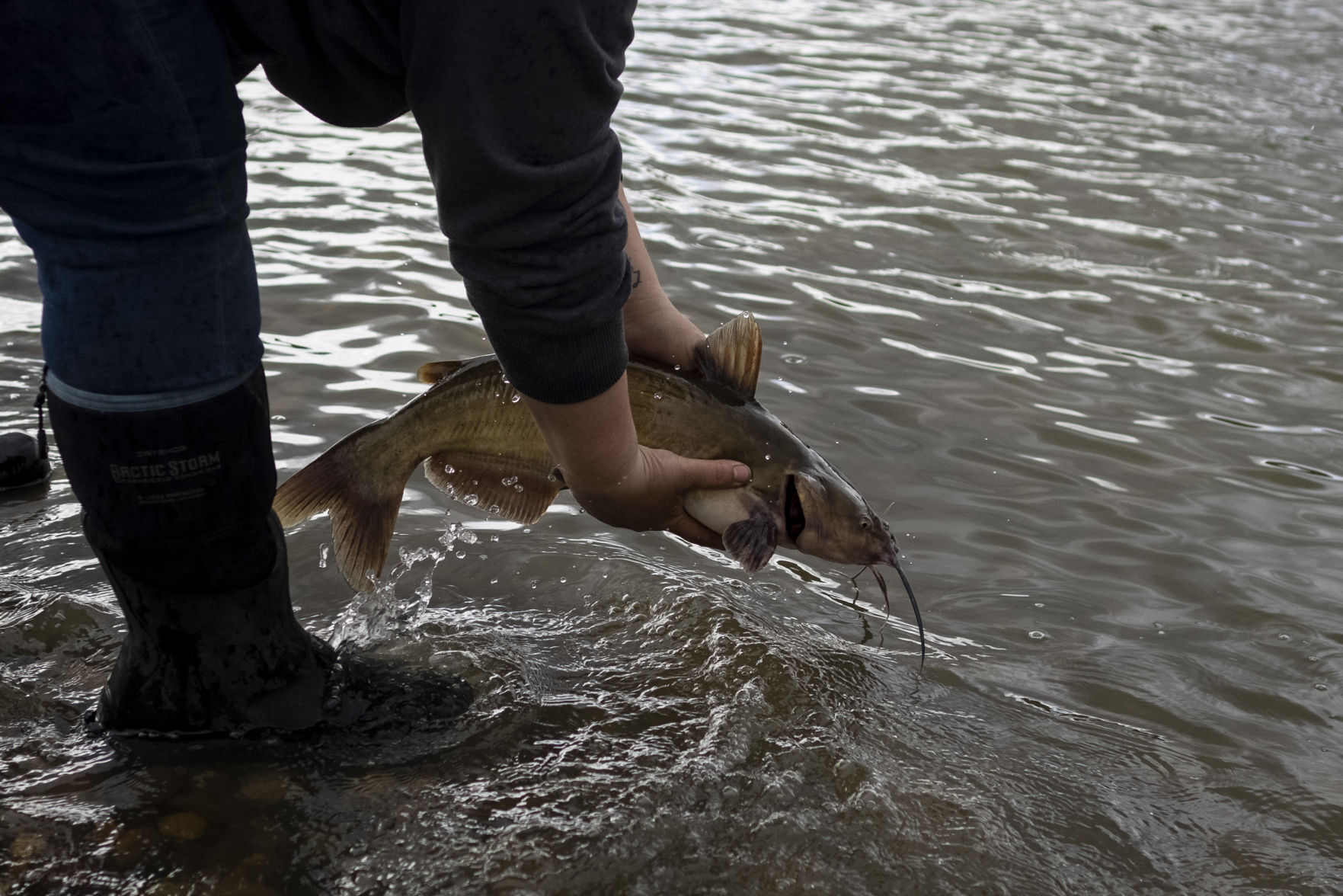 Yellowstone Challenge Catfish Tournament